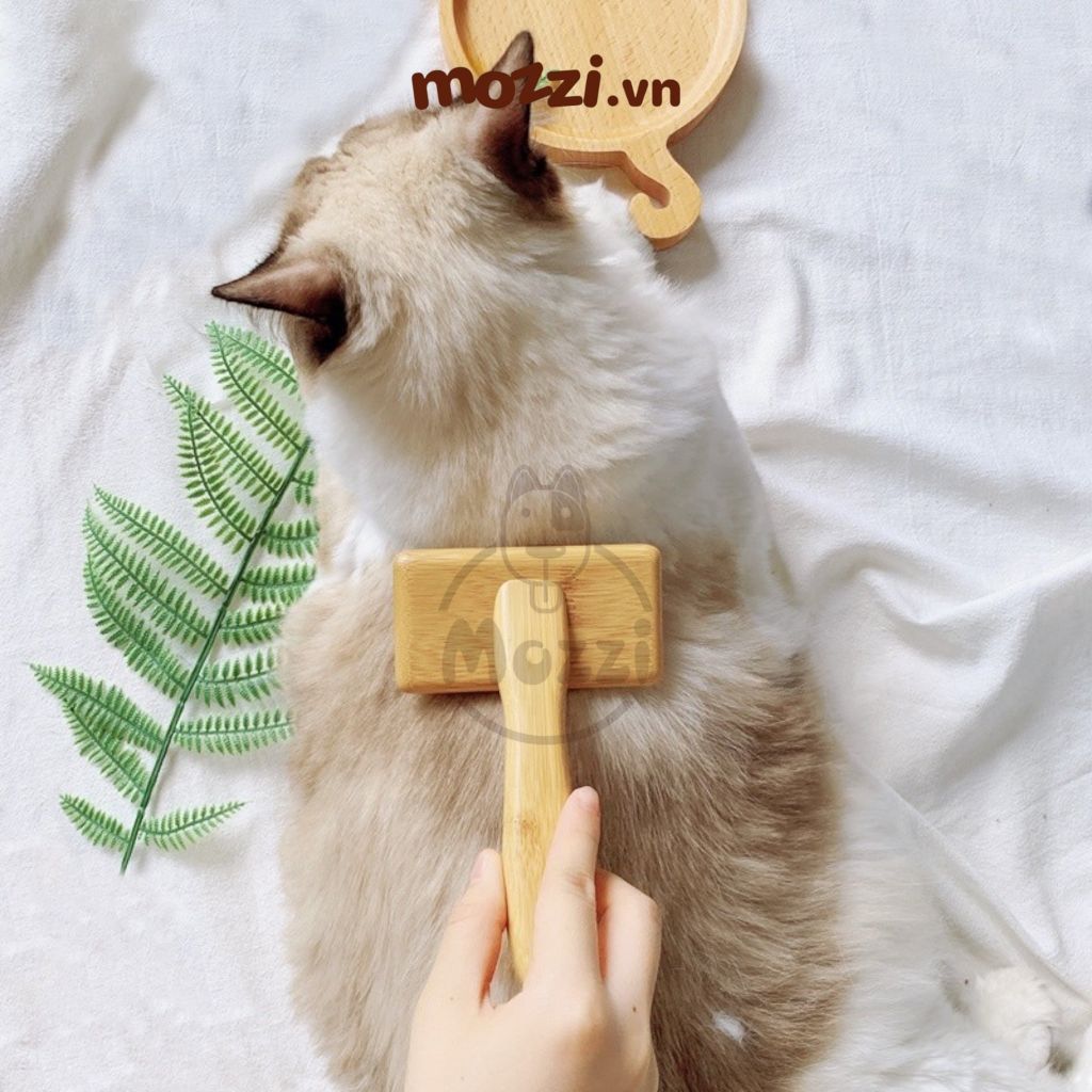 Lược chải lông chó mèo GoldPets cán gỗ không bọc đầu chải phồng lông chuyên dụng