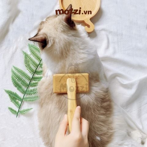  Lược chải lông chó mèo GoldPets cán gỗ không bọc đầu chải phồng lông chuyên dụng 