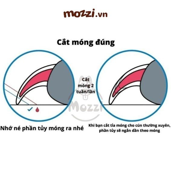 Kềm cắt móng chống văng kèm dũa cho chó mèo