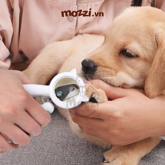 Kềm cắt móng chống văng kèm dũa cho chó mèo