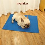  Thảm mát Pet Cooling Mat 90x50 cm cho chó mèo 