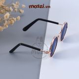  Kính mát gọng inox thời trang cho mèo và chó nhỏ 