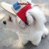 Nón lưỡi trai PERRO cho chó mèo