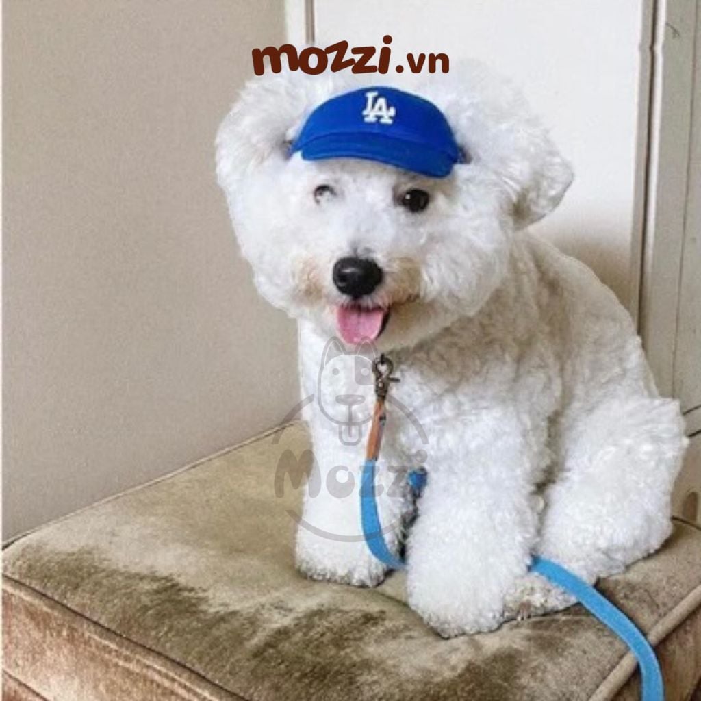 Nón lưỡi trai LA NY cho chó mèo