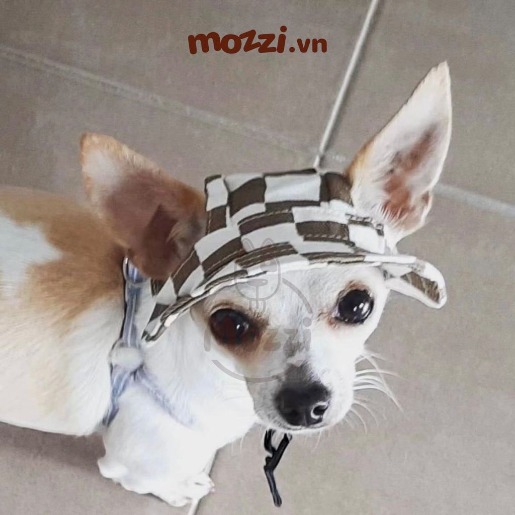 Nón tròn vành caro dễ thương cho chó mèo