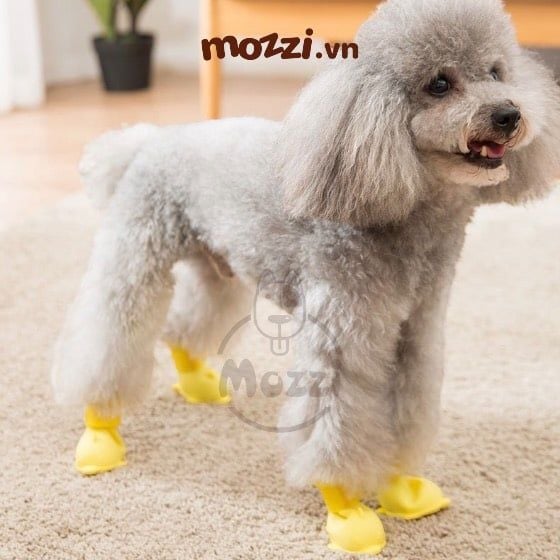 Giày cao su Hipidog Boots đi mưa chống ướt cho chó mèo
