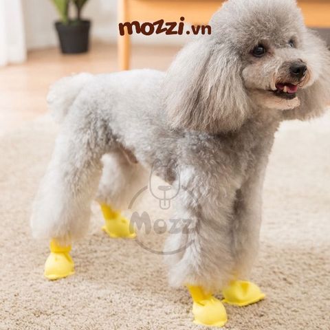  Giày cao su hình cá heo Hipidog Boots đi mưa chống ướt cho chó mèo 