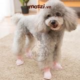  Giày cao su hình cá heo Hipidog Boots đi mưa chống ướt cho chó mèo 