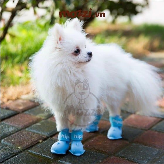 Giày cao su Hipidog Boots đi mưa chống ướt cho chó mèo