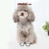  Giày vải jean Converse trendy cho chó mèo 