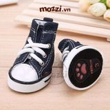  Giày vải jean Converse trendy cho chó mèo 