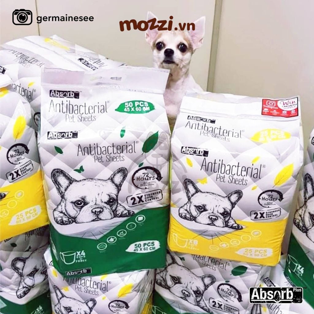 Tã lót chuồng chó mèo Absorb Plus trắng siêu thấm hút 72h của Mỹ