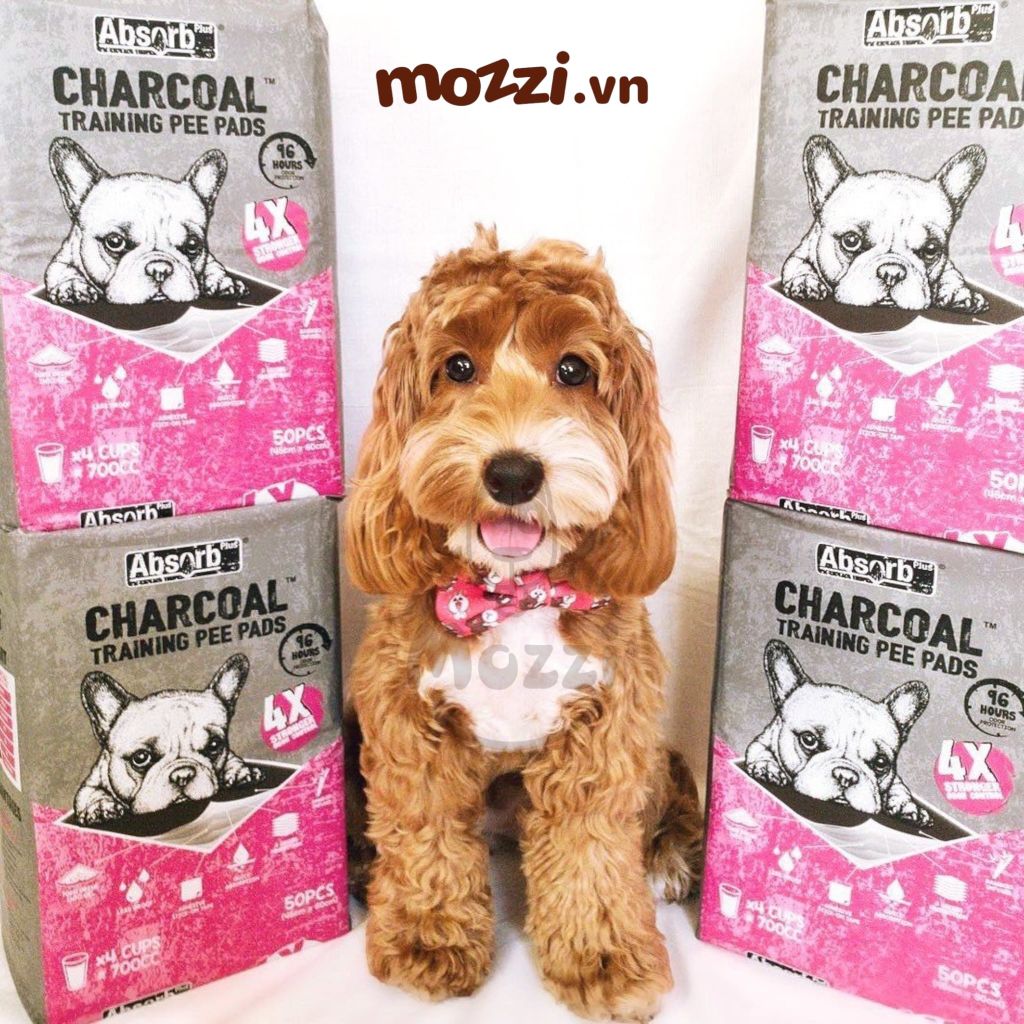 Tã lót chuồng chó mèo Absorb Plus than hoạt tính 96h của Mỹ