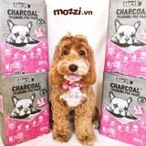  Tã lót chuồng chó mèo Absorb Plus than hoạt tính 96h của Mỹ 