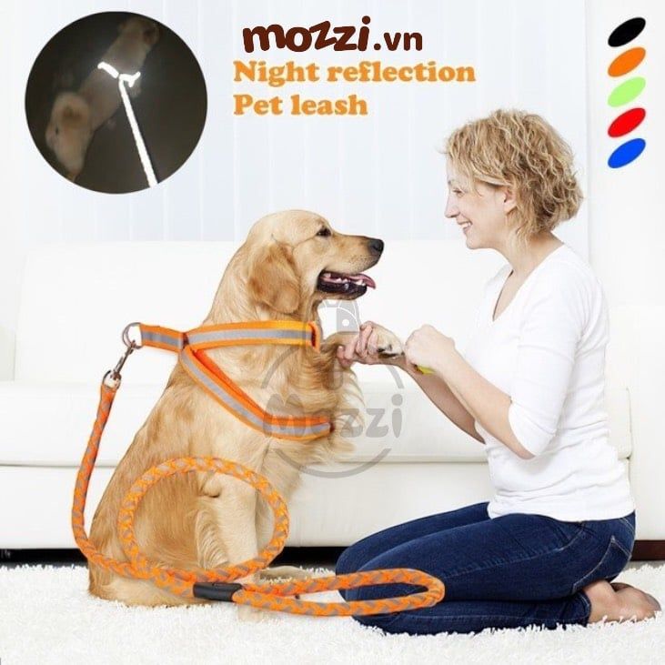 Dây dắt yếm ngực phản quang cho chó mèo