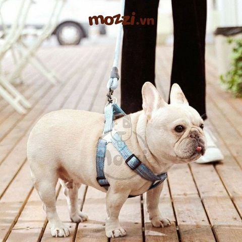  Dây dắt yếm ngực có tay cầm MoeMoe cho chó mèo 
