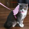 Dây dắt ngực gắn cánh thiên thần cho chó mèo