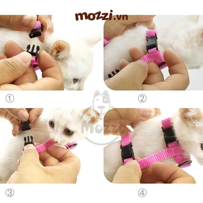 Dây dắt ngực gắn cánh thiên thần cho chó mèo