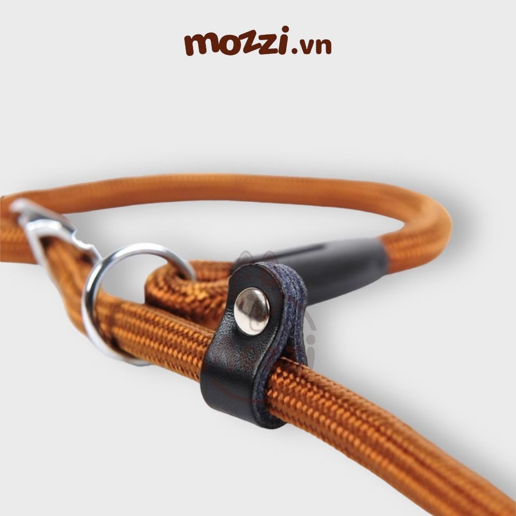 Dây dắt huấn luyện dáng tròn tự thu nới vòng cổ cho chó mèo