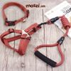 Set dây dắt yếm ngực kèm vòng cổ có tay cầm cho chó mèo
