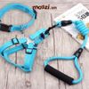 Set dây dắt yếm ngực kèm vòng cổ có tay cầm cho chó mèo