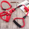 Set dây dắt yếm ngực kèm vòng cổ có tay cầm cho chó mèo