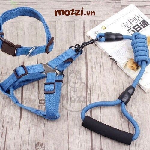 Set dây dắt yếm ngực kèm vòng cổ có tay cầm cho chó mèo