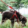 Set dây dắt yếm ngực kèm vòng cổ có tay cầm cho chó mèo
