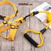 Set dây dắt yếm ngực kèm vòng cổ có tay cầm cho chó mèo