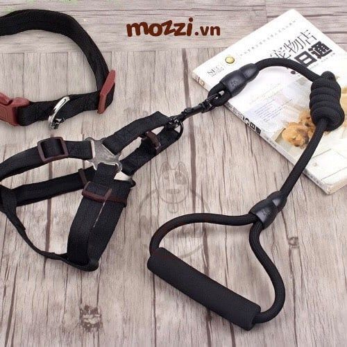 Set dây dắt yếm ngực kèm vòng cổ có tay cầm cho chó mèo