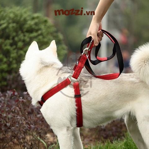 Dây dắt yếm ngực Panda cho chó mèo