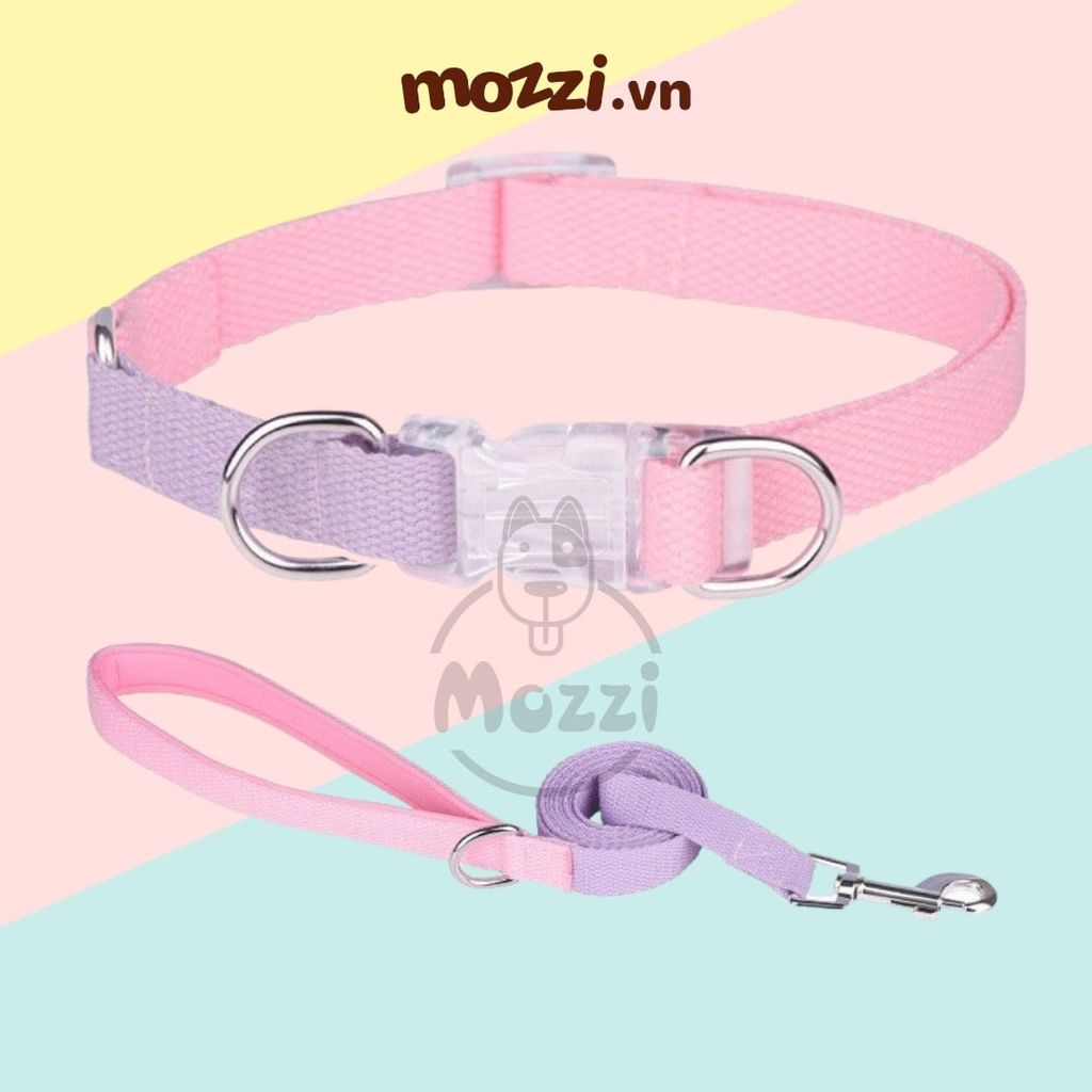 Set dây dắt kèm vòng cổ 7 màu cho chó