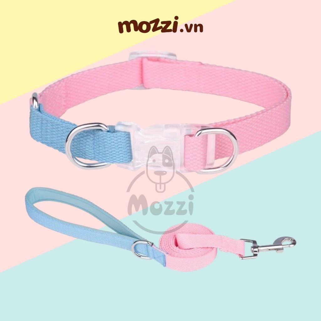 Set dây dắt kèm vòng cổ 7 màu cho chó