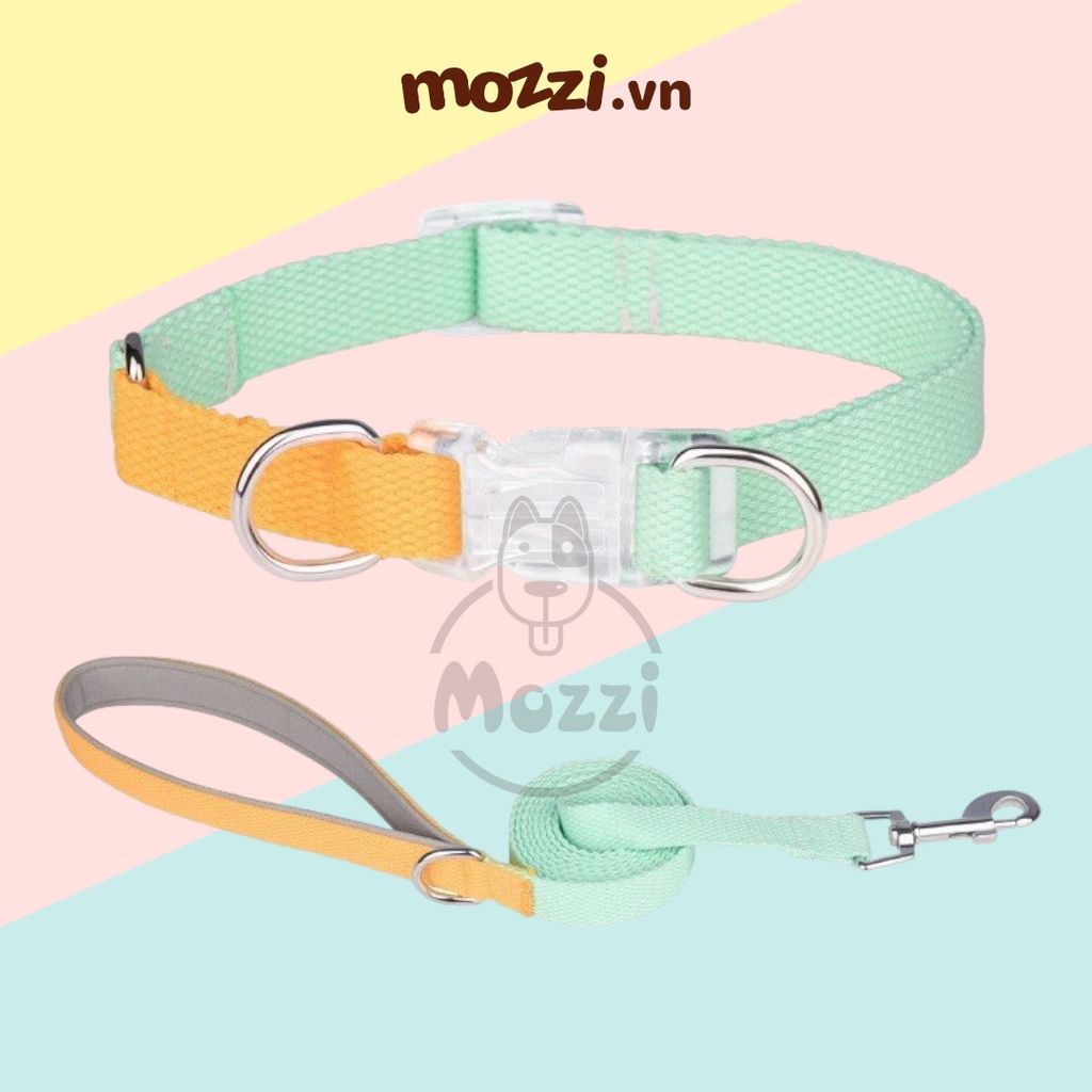 Set dây dắt kèm vòng cổ 7 màu cho chó
