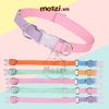 Set dây dắt kèm vòng cổ 7 màu cho chó