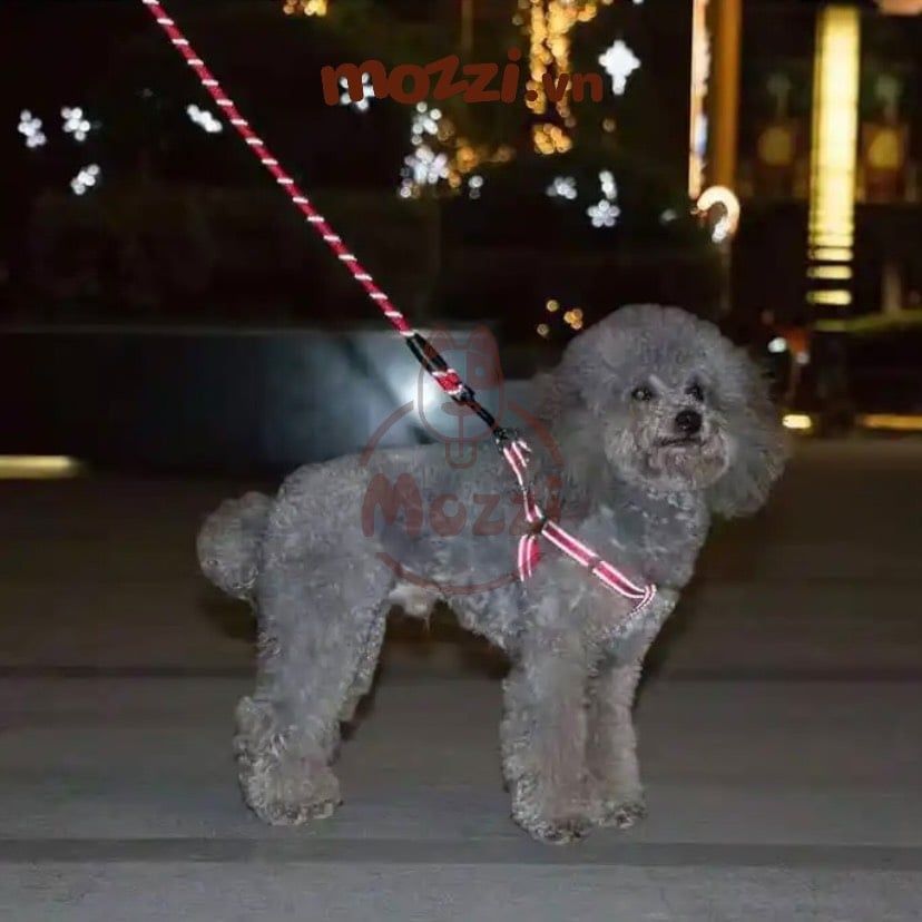 Dây dắt yếm ngực viền chỉ phản quang cho chó mèo
