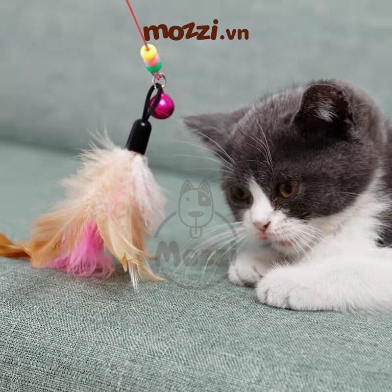 Đồ chơi Cần câu mèo lông gà cầm tay