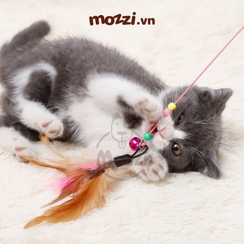 Đồ chơi Cần câu mèo lông gà cầm tay