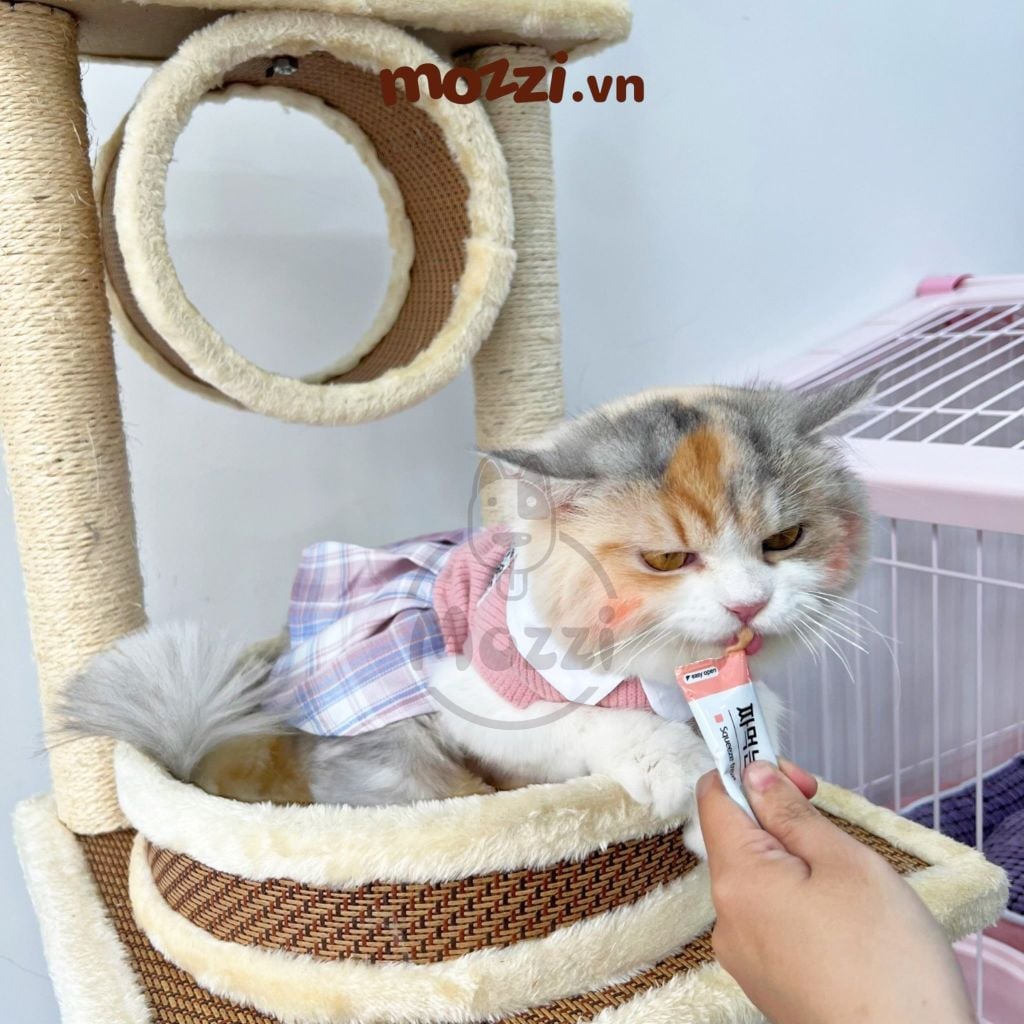 Súp thưởng cho mèo Sốt thịt MeoWow Mumargin