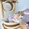 Súp thưởng cho mèo Sốt thịt MeoWow Mumargin