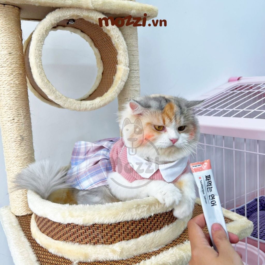 Súp thưởng cho mèo Sốt thịt MeoWow Mumargin