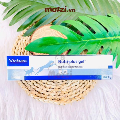  Gel bổ sung dinh dưỡng Nutri-plus Virbac Tuýp 120.5g cho chó mèo 