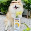 Viên nhai ve rận bọ chét và viêm da Bravecto cho chó mèo