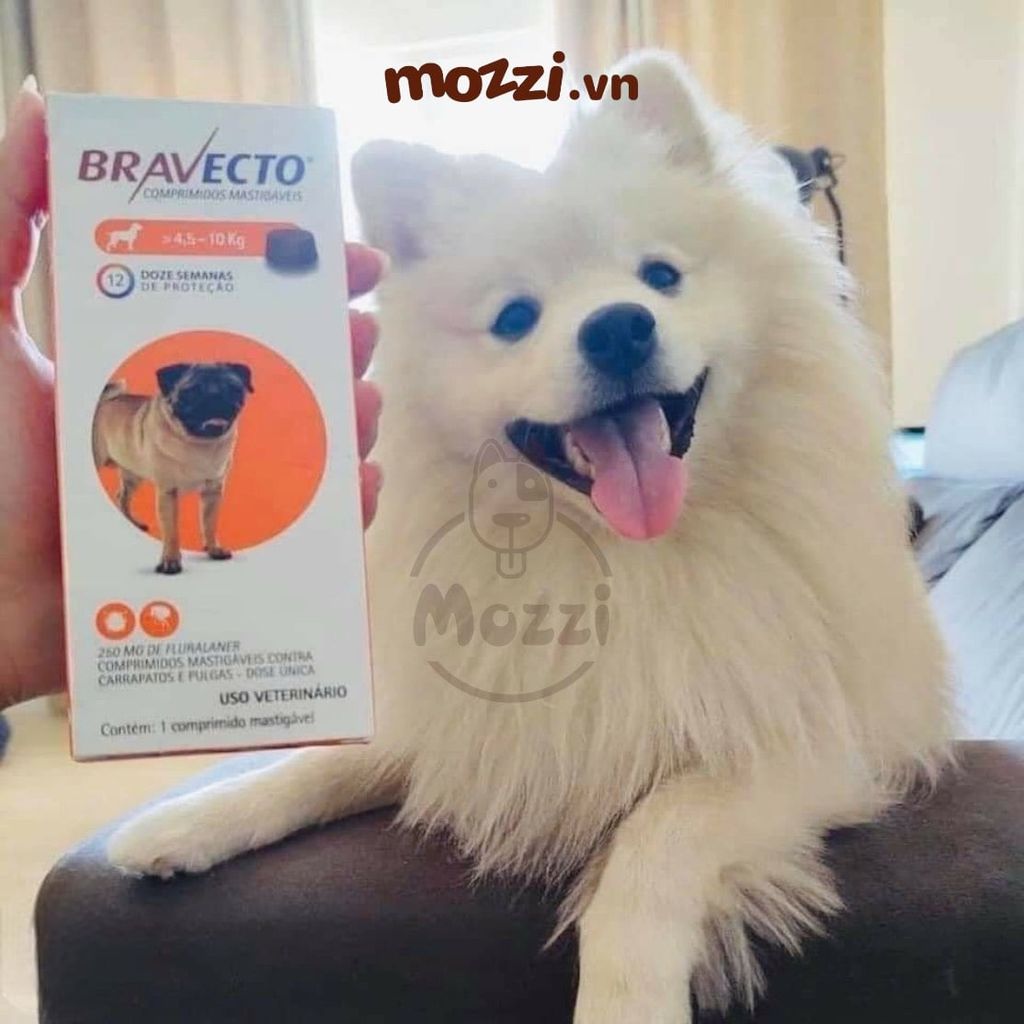 Viên nhai ve rận bọ chét và viêm da Bravecto cho chó mèo