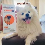  Viên nhai ve rận bọ chét và viêm da Bravecto cho chó mèo 