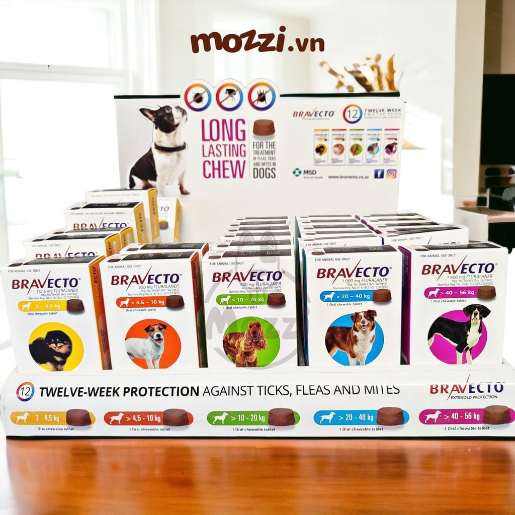 Viên nhai ve rận bọ chét và viêm da Bravecto cho chó mèo