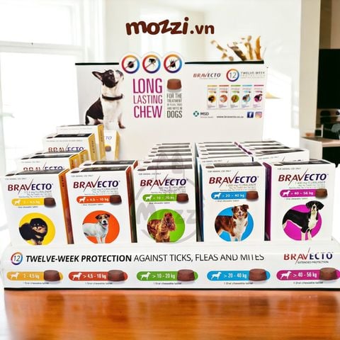  Viên nhai ve rận bọ chét và viêm da Bravecto cho chó mèo 