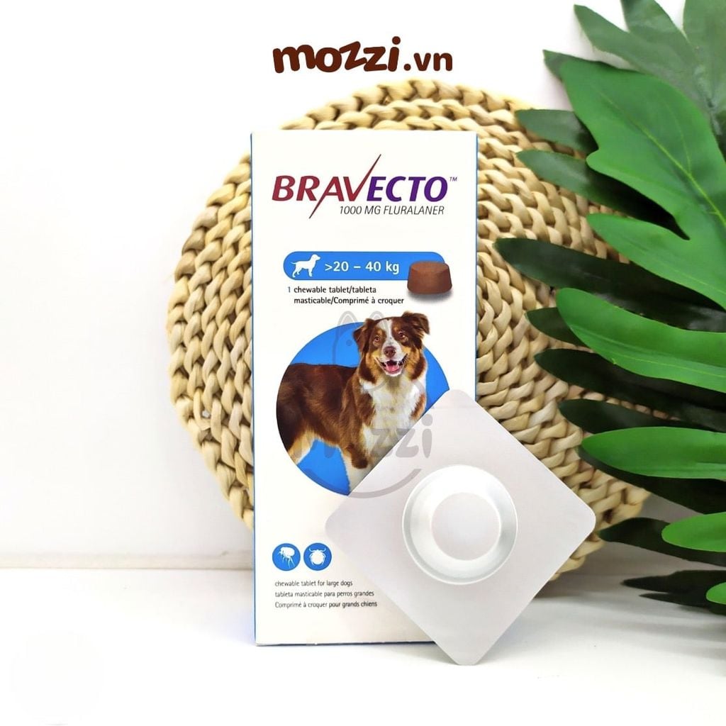 Viên nhai ve rận bọ chét và viêm da Bravecto cho chó mèo