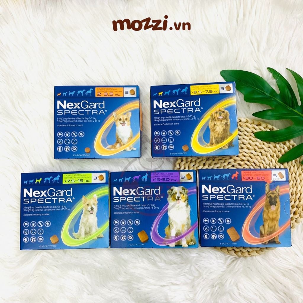 Viên nhai tẩy giun trị ve bọ chét Nexgard Spectra cho chó