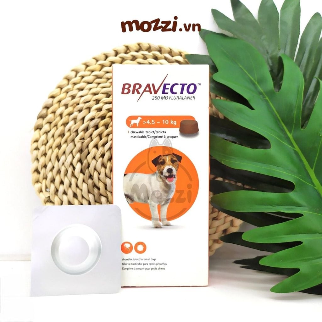 Viên nhai ve rận bọ chét và viêm da Bravecto cho chó mèo